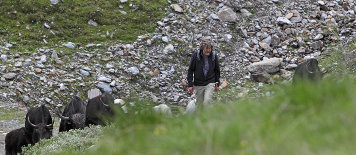 Reinhold Messner e i suoi yak