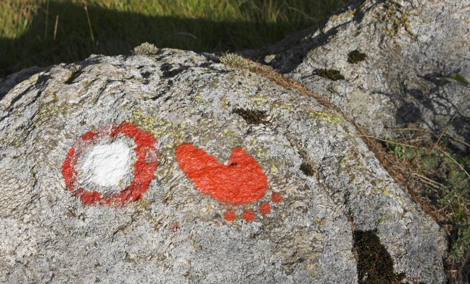 Una pietra con un simbolo