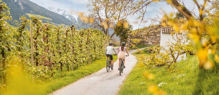 Biken-Radweg[2]