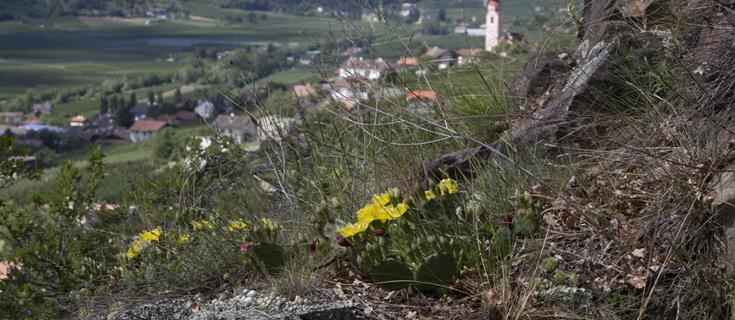 aktiv-wandern-tschars-fb