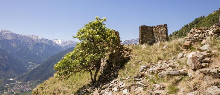 Sull'alta via della Val Venosta