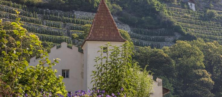 sehenswürdigkeiten-schloss-schlandersburg-vinschgau-fb