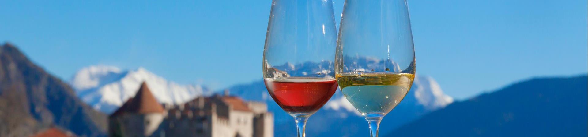 -idm-su-dtirol-alto-adige-frieder-blickle-wine-taste