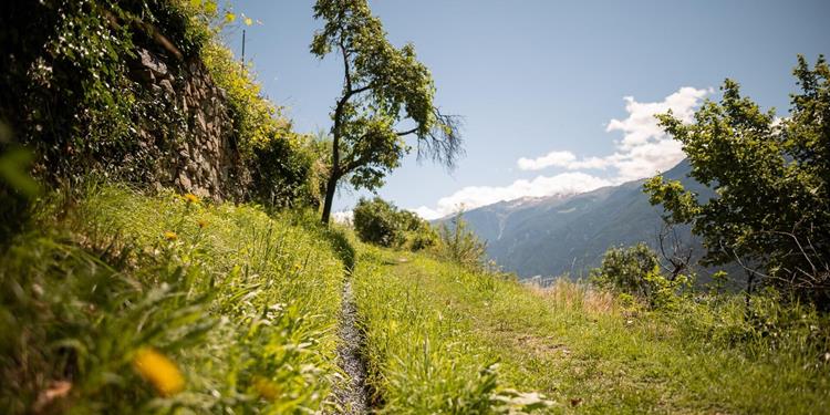 Sentiero della roggia 