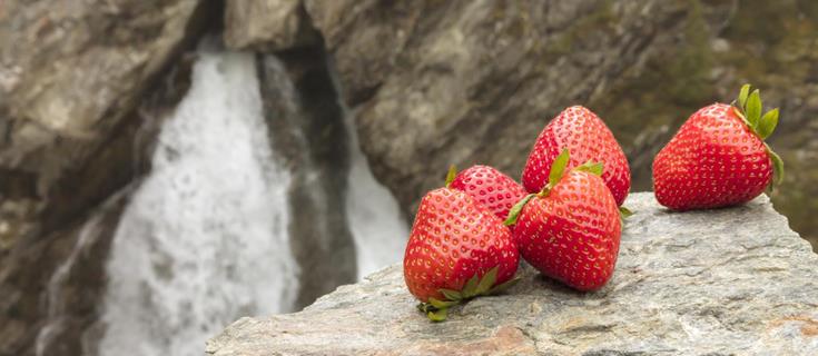 produkte-erdbeeren-vinschgau-fb