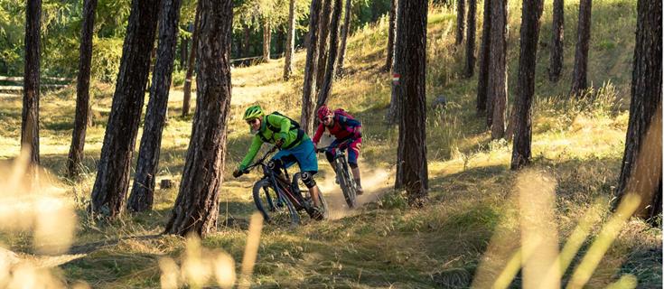 Mountainbike nel bosco